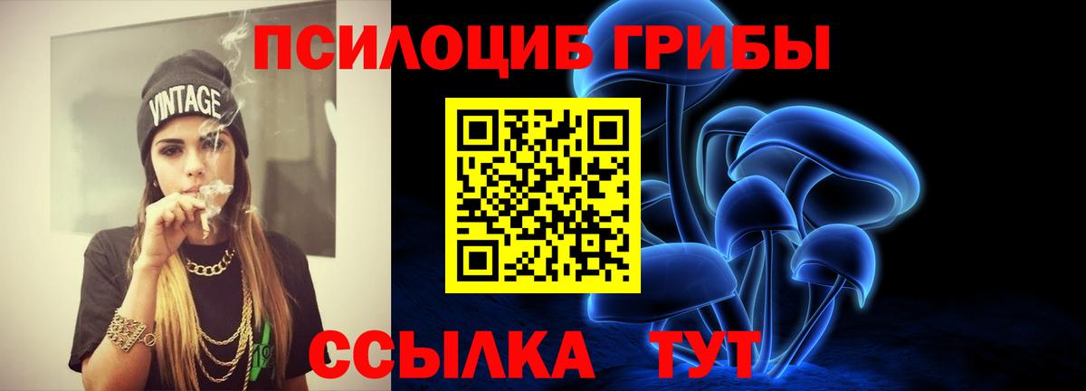 Валуйки  Псилоцибиновые грибы MAGIC MUSHROOMS  Вход с VPN 
